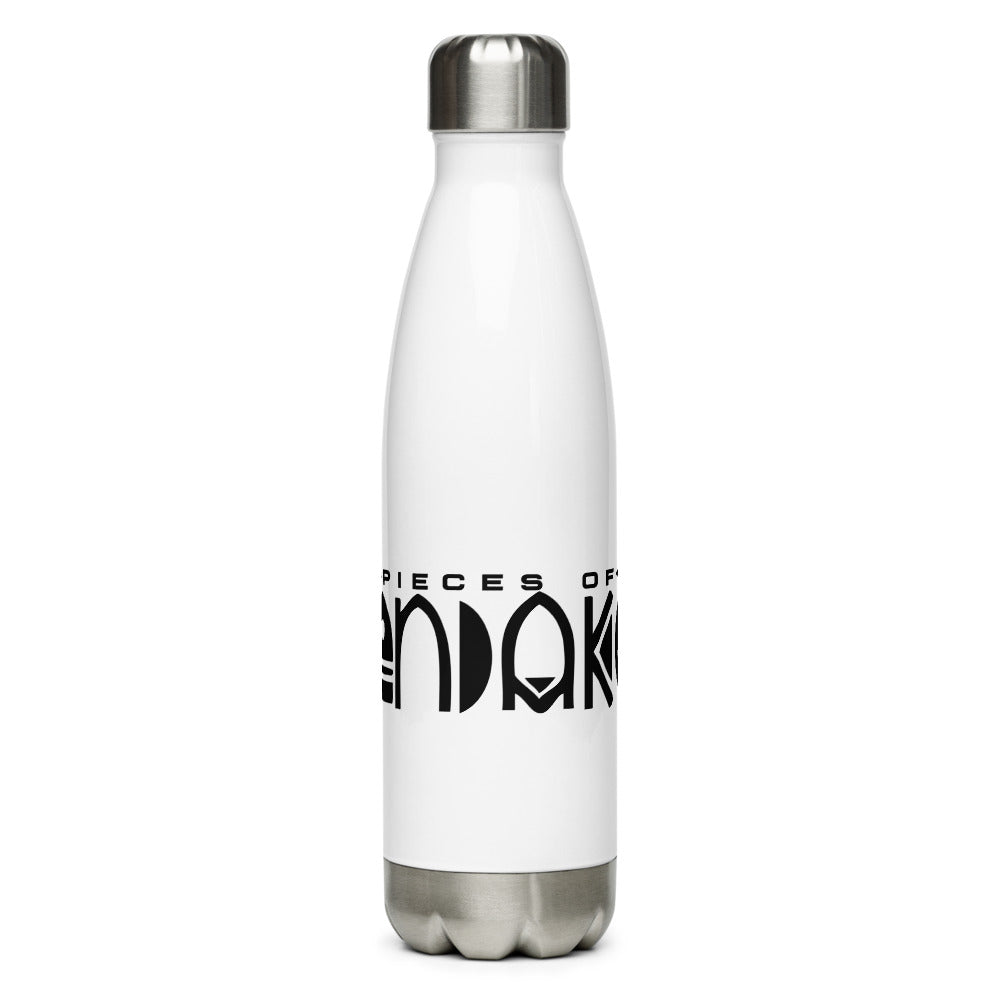 Stainless Steel Water Bottle